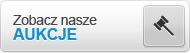 Zobacz nasze aukcje na Allegro